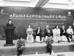 保護版權(quán)，等同保護電影生命