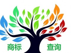 如何應對商標查詢盲期？
